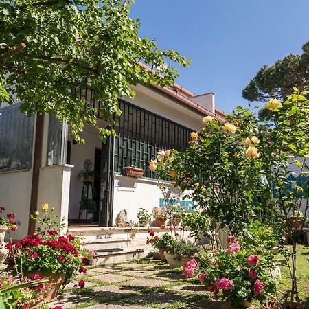 Alloggio Per Uso Turistico Villa Lido dei Pini Exterior foto